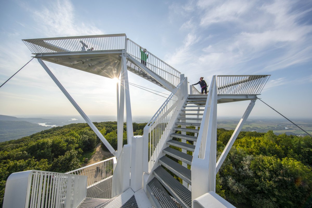 THE LOOKOUT TOWER