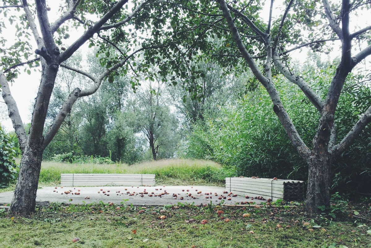 existing foundation plates of the former huts were preserved and reinterpreted as new picnic areas