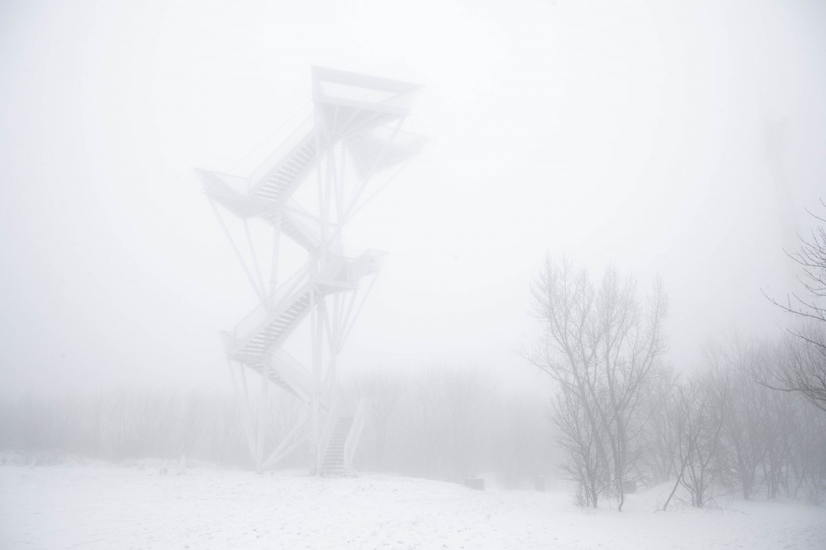 THE LOOKOUT TOWER