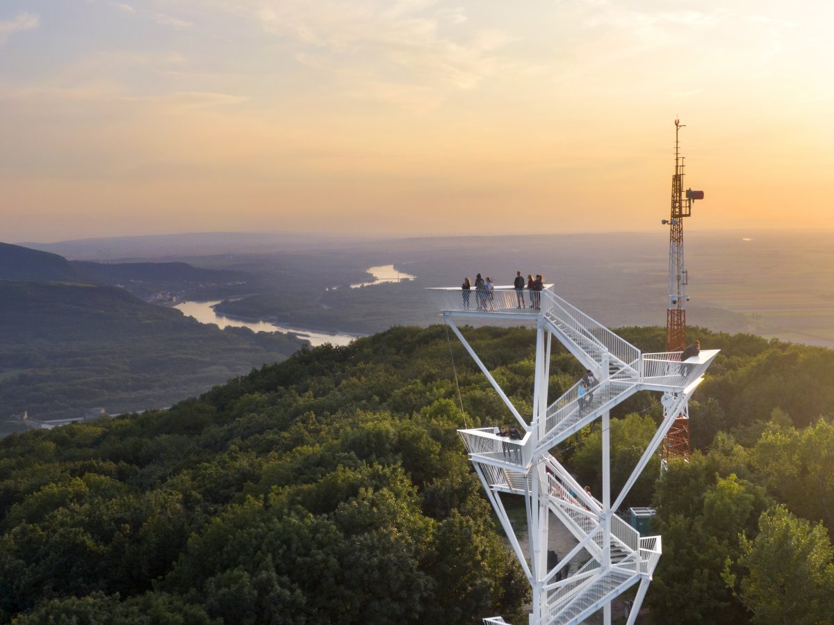 THE LOOKOUT TOWER