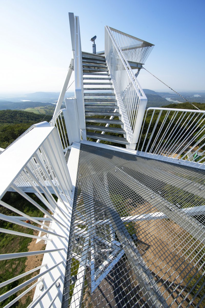 THE LOOKOUT TOWER